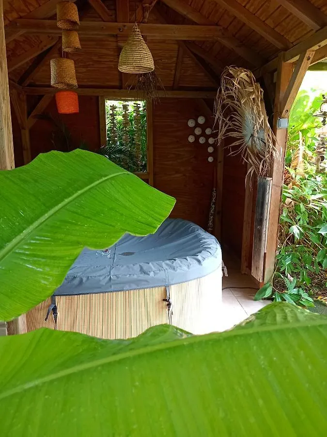 Residence Bois Flotte Sainte-Anne  Sainte-Anne (Grande-Terre)