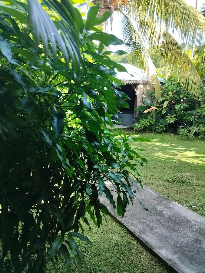Residence Bois Flotte Sainte-Anne