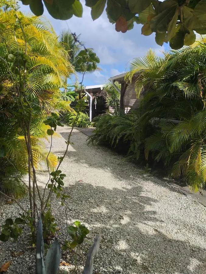 Residence Bois Flotte Sainte-Anne