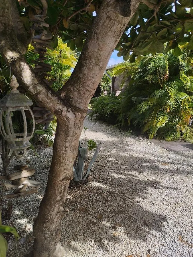 Residence Bois Flotte Sainte-Anne  Holiday home